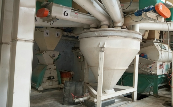 飼料加工設(shè)備對養(yǎng)殖業(yè)的發(fā)展起了至關(guān)重要的作用